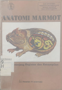 Image of Anatomi marmot