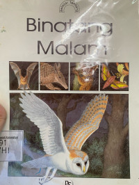 Binatang Malam
