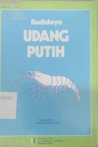 Budidaya udang putih