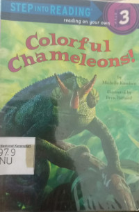 Colorful chameleons !