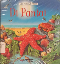 Di Pantai