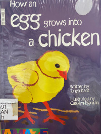 How an egg grows into a Chicken