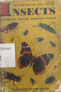 Image of Insects