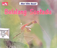 Image of Mari Kita Amati: Belalang Sentadu