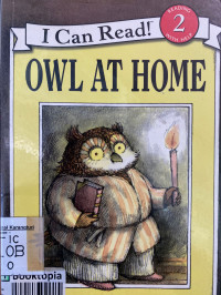 Owl At Home