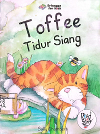 Image of Toffee Tidur Siang