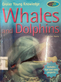 Image of Whales and Dolphins