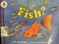 Image of What's It Like to Be a Fish?